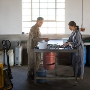 workers-checking-a-harvested-olives-in-factory-2023-11-27-05-05-23-utc-scaled-1.jpg